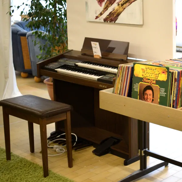 Orgel Schallplatten